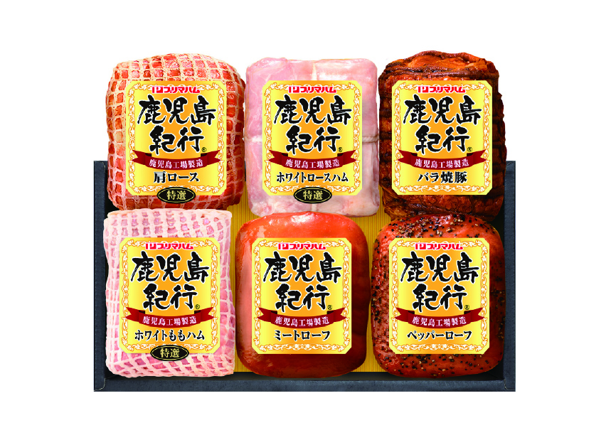 鹿児島紀行H-870NR
